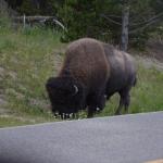 OTRA2013_1387 (July 15, 2013)